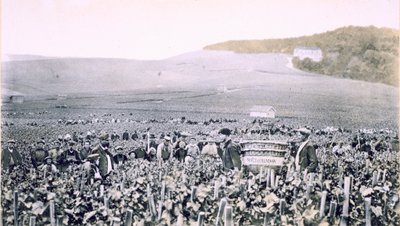 Picking the Grapes, from 